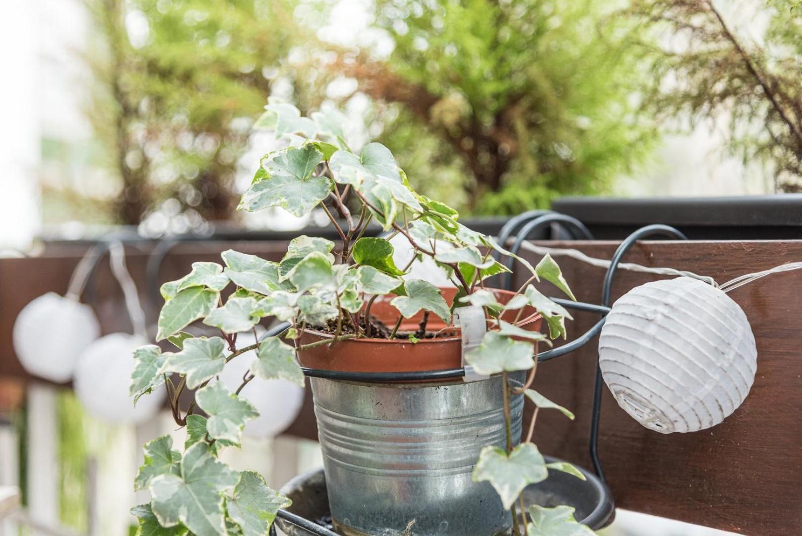 Guestready - The Hackberry Porto Exterior foto